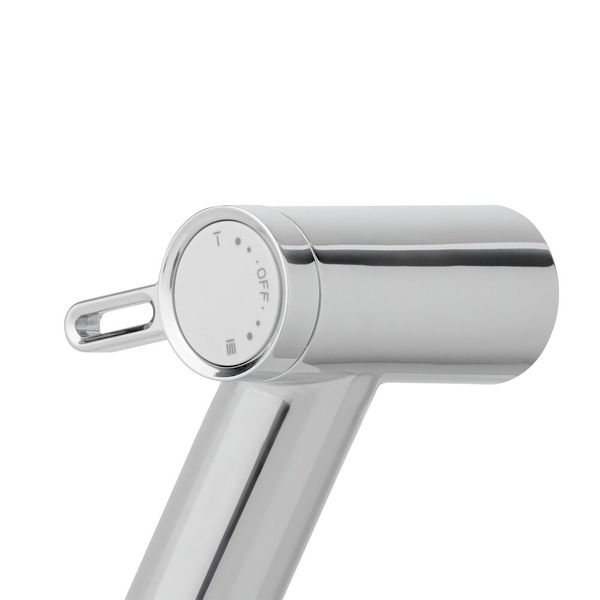 Bidet dusjsett